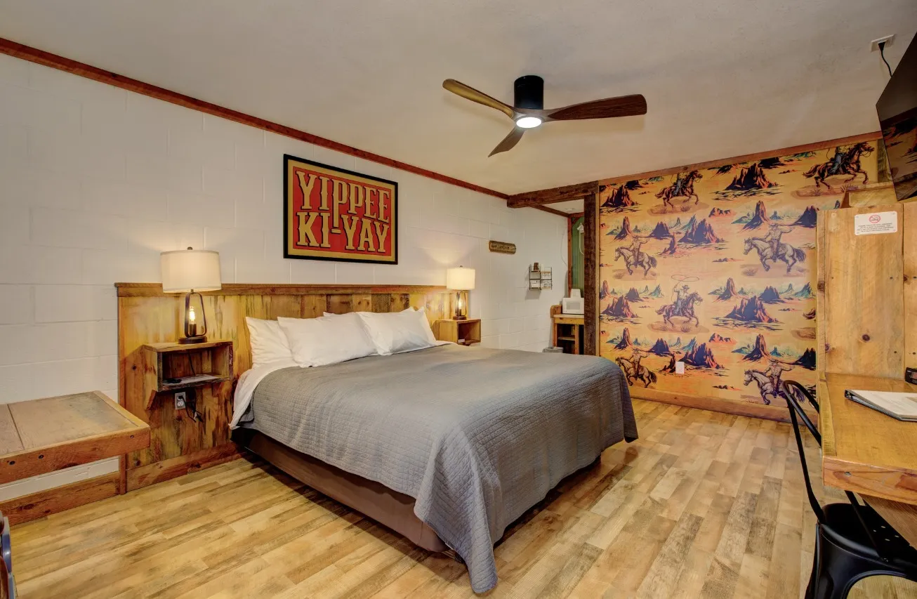 Single King Room